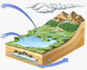 Water usage/circulation illustration
