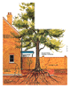 Tree root damage illustration