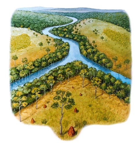 Das Emas illustration